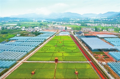 江西贛州 深耕富硒沃土，繪就現(xiàn)代農(nóng)業(yè)新圖景